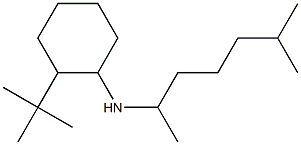 2-tert-butyl-N-(6-methylheptan-2-yl)cyclohexan-1-amine Struktur