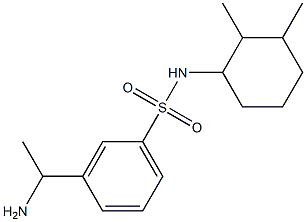 3-(1-aminoethyl)-N-(2,3-dimethylcyclohexyl)benzene-1-sulfonamide Struktur