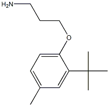 3-(2-tert-butyl-4-methylphenoxy)propan-1-amine Struktur