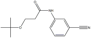 3-(tert-butoxy)-N-(3-cyanophenyl)propanamide Struktur