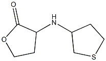 3-(thiolan-3-ylamino)oxolan-2-one Struktur