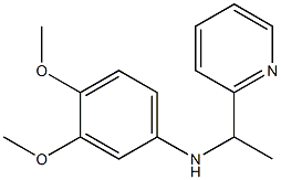 3,4-dimethoxy-N-[1-(pyridin-2-yl)ethyl]aniline Struktur