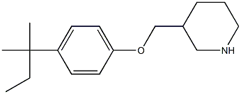 3-[4-(2-methylbutan-2-yl)phenoxymethyl]piperidine Struktur