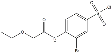 3-bromo-4-(2-ethoxyacetamido)benzene-1-sulfonyl chloride Struktur