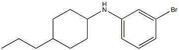 3-bromo-N-(4-propylcyclohexyl)aniline Struktur