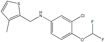 3-chloro-4-(difluoromethoxy)-N-[(3-methylthiophen-2-yl)methyl]aniline Struktur