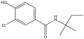 3-chloro-4-hydroxy-N-(2-methylbutan-2-yl)benzamide Struktur