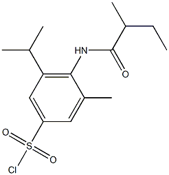 3-methyl-4-(2-methylbutanamido)-5-(propan-2-yl)benzene-1-sulfonyl chloride Struktur