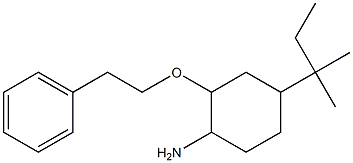 4-(2-methylbutan-2-yl)-2-(2-phenylethoxy)cyclohexan-1-amine Struktur