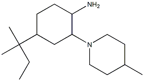 4-(2-methylbutan-2-yl)-2-(4-methylpiperidin-1-yl)cyclohexan-1-amine Struktur