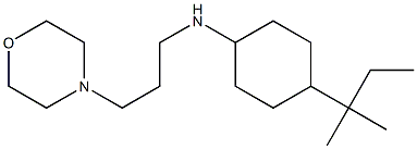 4-(2-methylbutan-2-yl)-N-[3-(morpholin-4-yl)propyl]cyclohexan-1-amine Struktur