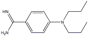 4-(dipropylamino)benzene-1-carboximidamide Struktur