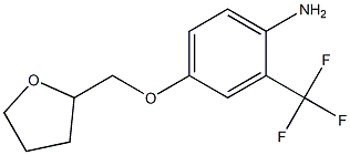 4-(oxolan-2-ylmethoxy)-2-(trifluoromethyl)aniline Struktur