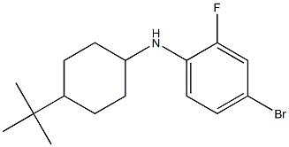 4-bromo-N-(4-tert-butylcyclohexyl)-2-fluoroaniline Struktur