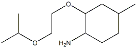 4-methyl-2-[2-(propan-2-yloxy)ethoxy]cyclohexan-1-amine Struktur