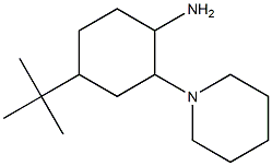 4-tert-butyl-2-(piperidin-1-yl)cyclohexan-1-amine Struktur