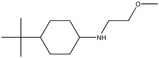 4-tert-butyl-N-(2-methoxyethyl)cyclohexan-1-amine Struktur