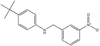 4-tert-butyl-N-[(3-nitrophenyl)methyl]aniline Struktur