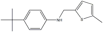 4-tert-butyl-N-[(5-methylthiophen-2-yl)methyl]aniline Struktur