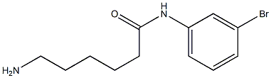 6-amino-N-(3-bromophenyl)hexanamide Struktur