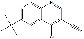 6-tert-butyl-4-chloroquinoline-3-carbonitrile Struktur