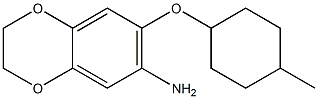 7-[(4-methylcyclohexyl)oxy]-2,3-dihydro-1,4-benzodioxin-6-amine Struktur