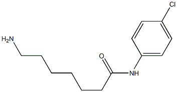 7-amino-N-(4-chlorophenyl)heptanamide Struktur