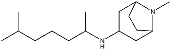 8-methyl-N-(6-methylheptan-2-yl)-8-azabicyclo[3.2.1]octan-3-amine Struktur