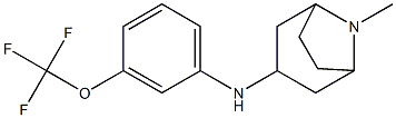 8-methyl-N-[3-(trifluoromethoxy)phenyl]-8-azabicyclo[3.2.1]octan-3-amine Struktur