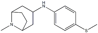 8-methyl-N-[4-(methylsulfanyl)phenyl]-8-azabicyclo[3.2.1]octan-3-amine Struktur