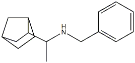 benzyl(1-{bicyclo[2.2.1]heptan-2-yl}ethyl)amine Struktur