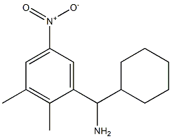 cyclohexyl(2,3-dimethyl-5-nitrophenyl)methanamine Struktur