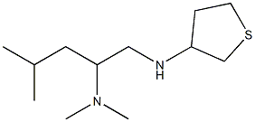 dimethyl[4-methyl-1-(thiolan-3-ylamino)pentan-2-yl]amine Struktur