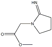 methyl 2-(2-iminopyrrolidin-1-yl)acetate Struktur