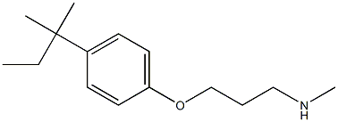 methyl({3-[4-(2-methylbutan-2-yl)phenoxy]propyl})amine Struktur