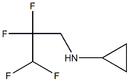 N-(2,2,3,3-tetrafluoropropyl)cyclopropanamine Struktur