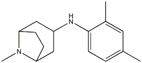 N-(2,4-dimethylphenyl)-8-methyl-8-azabicyclo[3.2.1]octan-3-amine Struktur