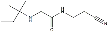 N-(2-cyanoethyl)-2-[(2-methylbutan-2-yl)amino]acetamide Struktur