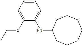 N-(2-ethoxyphenyl)cyclooctanamine Struktur