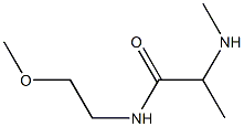 N-(2-methoxyethyl)-2-(methylamino)propanamide Struktur