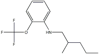 N-(2-methylpentyl)-2-(trifluoromethoxy)aniline Struktur