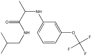 N-(2-methylpropyl)-2-{[3-(trifluoromethoxy)phenyl]amino}propanamide Struktur