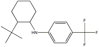 N-(2-tert-butylcyclohexyl)-4-(trifluoromethyl)aniline Struktur