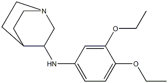 N-(3,4-diethoxyphenyl)-1-azabicyclo[2.2.2]octan-3-amine Struktur