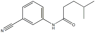 N-(3-cyanophenyl)-4-methylpentanamide Struktur