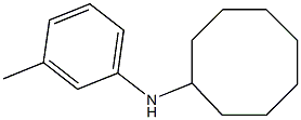 N-(3-methylphenyl)cyclooctanamine Struktur