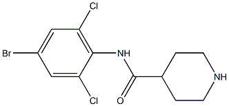 N-(4-bromo-2,6-dichlorophenyl)piperidine-4-carboxamide Struktur