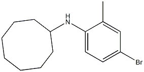 N-(4-bromo-2-methylphenyl)cyclooctanamine Struktur