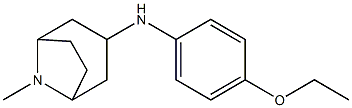 N-(4-ethoxyphenyl)-8-methyl-8-azabicyclo[3.2.1]octan-3-amine Struktur