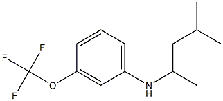 N-(4-methylpentan-2-yl)-3-(trifluoromethoxy)aniline Struktur